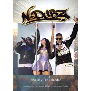  Music Pop Calendars N Dubz   12 Month Official   16.4x11 