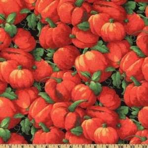   Festival Pumpkin Patch Black Fabric By The Yard Arts, Crafts & Sewing