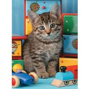  Ravensburger Puzzle   Kitten In The Playroom (500 pieces 