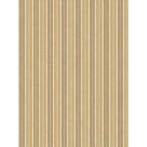  Wallpaper Steves Color Collection   Beige BC1581870