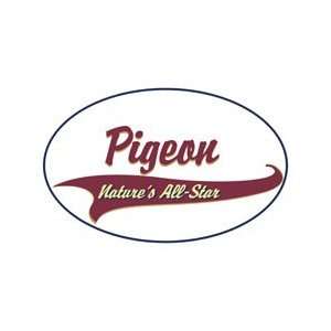  Pigeon Shirts