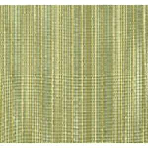  1703 Halona in Aloe by Pindler Fabric