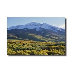  Snowcovered Mountain Giclee Print