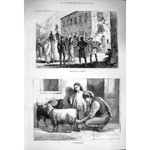  1876 Street Scene Gibraltar Maltese Milkman Goats
