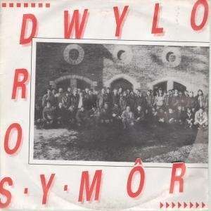  DWYLO DROS Y MOR 7 INCH (7 VINYL 45) UK PRIVATE 1985 AR 