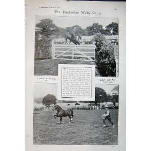   1906 Tunbridge Wells Horse Jumping Show Sport Hackney