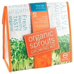  Eco Culture Organic Spring Salad Sprouts Growing Kit 