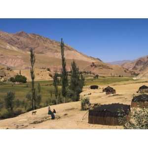 Aimaq Nomad Yurts Near Pal Kotal I Guk, Between Chakhcharan and Jam 