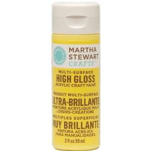  Martha Stewart 32099 2 Ounce Acrylic Gloss Paint 