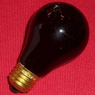 bl 0001 this auction is for two new black light bulbs