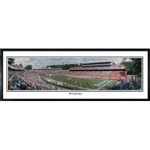   Tar Heels Kenan Memorial Stadium Panoramic Print 40 Yard Line Unframed