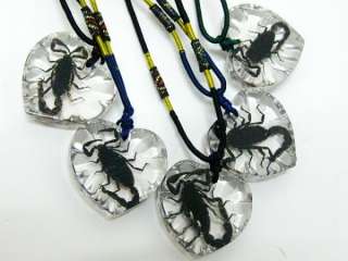 6pcs Wholesale real black Scorpion king pendant &necklace NEW  