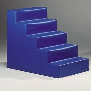  Wesco 4542 Bench Steps Color Blue Toys & Games