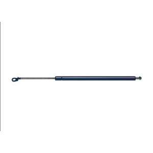  Strong Arm 4736 Hatch Lift Support Automotive