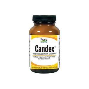  Candex