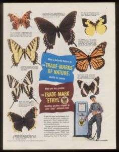 1948 8 butterfly photo study Ethyl Gas print ad  
