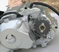 15,X 19 Pocket bike 110cc Engine (AUTOMATIC)  