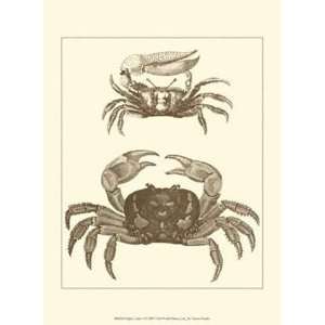  Sepia Crabs I   Poster (9.5x13)