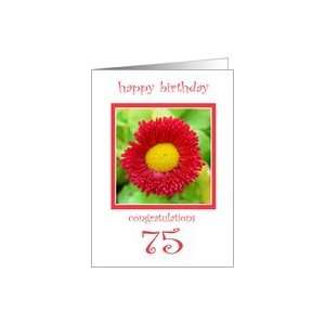  75 Years Old Red Flower Birthday Card Card Toys & Games