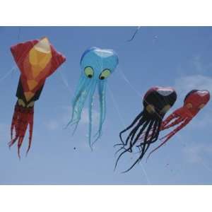  Octopus and Squid Shaped Kites Fly Above Berkeley Marina 