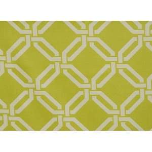  P0026 Bellwood in Lime by Pindler Fabric