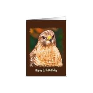  Birthday, 87th, Red shouldered Hawk Card Toys & Games