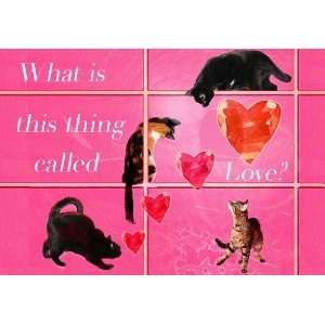  This Thing Called Love Cat Print