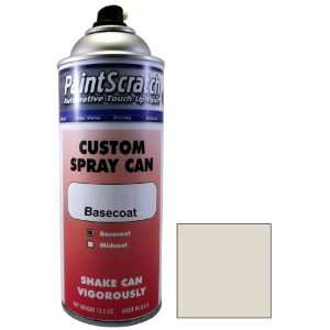   Paint for 2009 Winnebago All Models (color code 753549) and Clearcoat