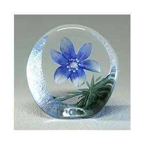  Blue Windflower Crystal