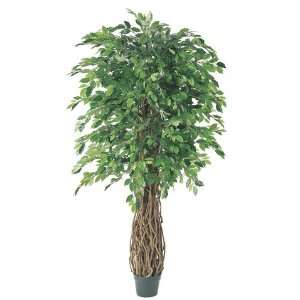   Pack of 2 Artificial Multiple Trunk New Ficus Trees 6