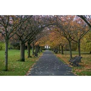Greenwich Park in Autumn by Doug McKinlay, 72x48