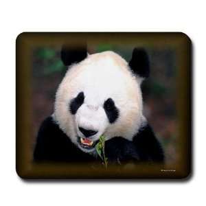  Giant Panda Animals Mousepad by 