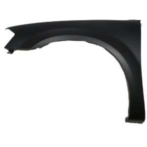  LH FENDER CAPA Automotive