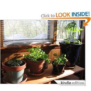   Guide To Indoor Gardening Linzi Indigo  Kindle Store