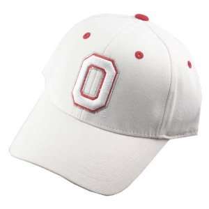  Ohio State Buckeyes White Floss 1Fit Hat Sports 