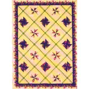  6443 PT Whirligig Quilt Pattern by Jackies Animas Quilts 
