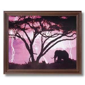 Framed Cherry African Elephant In Lightning Animal Wildlife Pictures 