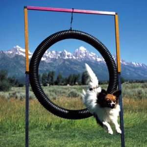  Agilite Tire Jump Lightweight Anodized Aluminum Pet 