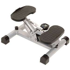  Lateral Balance Stepper