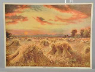 Vintage 1913 R Atkinson Fox After the Harvest #2 Print Field Wheat 