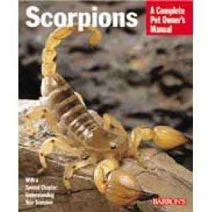  Scorpions (revised) (Catalog Category Small Animal 