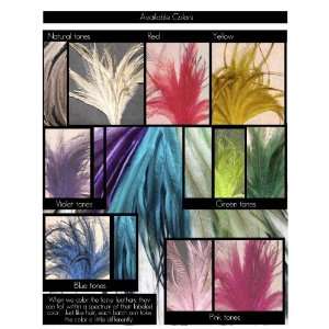 Cruelty Free Feather Hair Extension Starter Kit (30 Feathers   Cool 