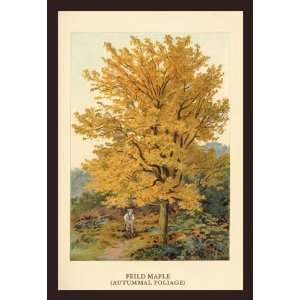  Field Maple 12x18 Giclee on canvas
