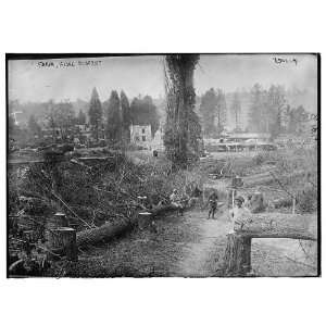  Farm,Aisne District