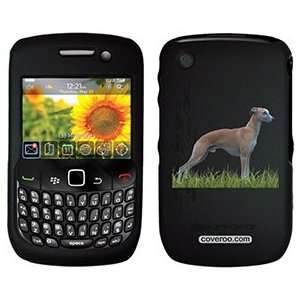  Whippet on PureGear Case for BlackBerry Curve  Players 