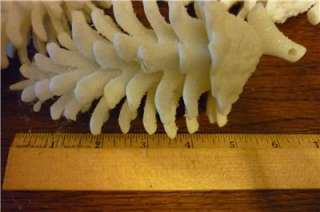 Large White Frosted Pine Cone Ornaments 6 long  