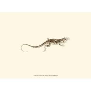 Sepia Lizard II by J. H. Richard 13x10 