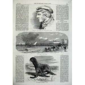 1865 Sea Bear Cremorne Gardens Pier Bognoe Darling Art 