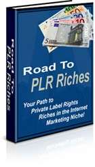 Make Money Fast ONLINE HOME BUSINESS PLR Writers Pack  