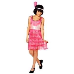   Pink Flapper Costume Roaring 20s Fring Dress Small 4 6x Toys & Games